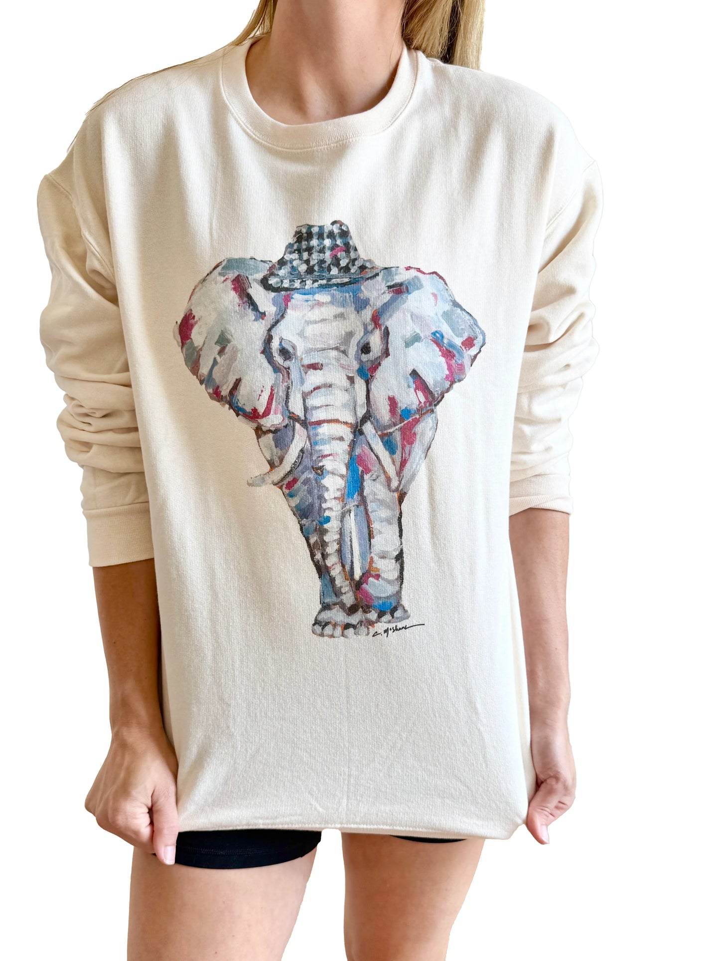 Watercolor Elephant Sweatshirt (long sleeve)