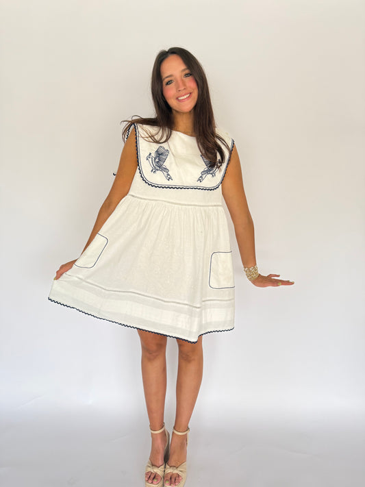 Blue and White Collar Mini Dress