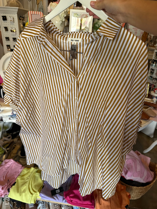 Striped Tan Blouse