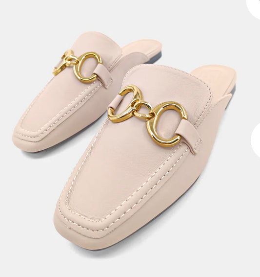 Andromeda Flats