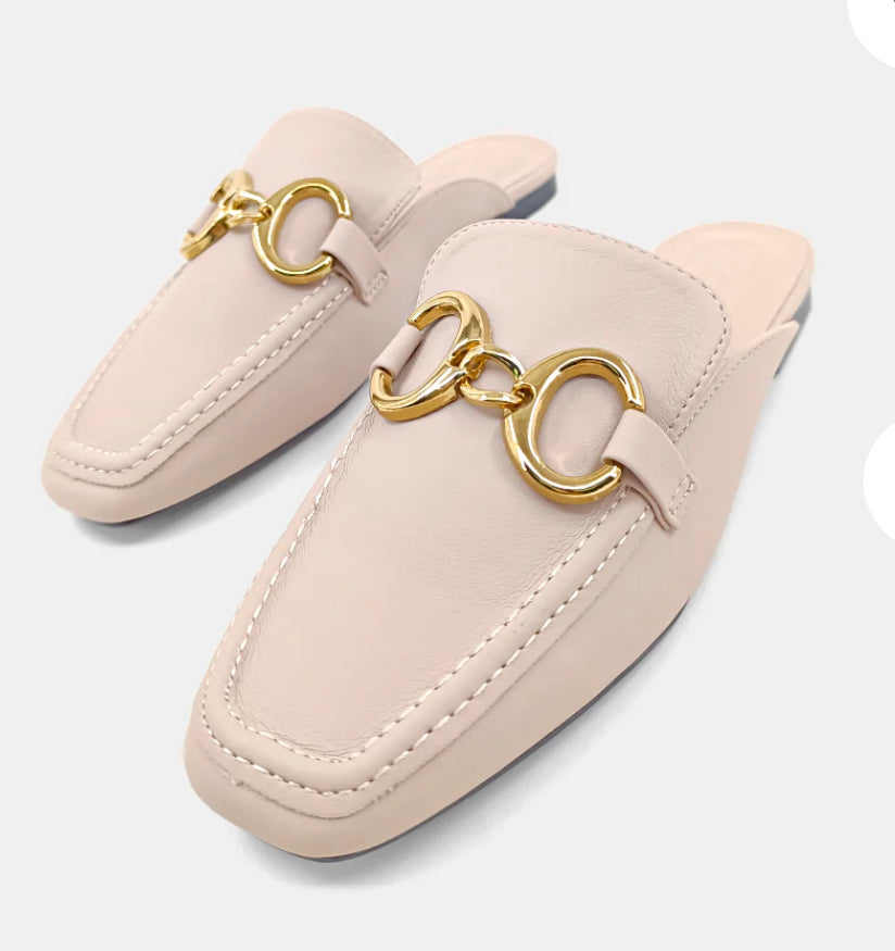 Andromeda Flats