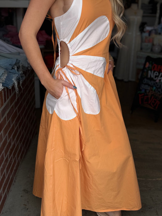 Flowered Cut out Dress