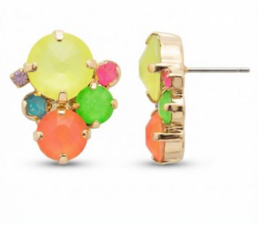 Crystal Assorted Rounds Stud Earrings - Sorrelli Jewelry