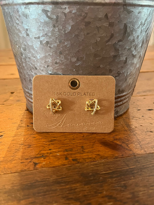 Raven Gold Star Earrings